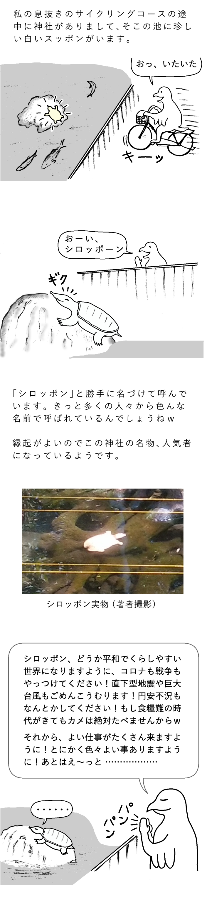 TCまんが_2022年6月28日a_まんが画像2