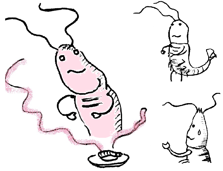 TCまんが_登場キャラ紹介_まんが画像4